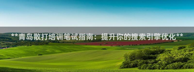 极悦平台代理怎么赚钱：**青岛散打培训笔试指南：提升