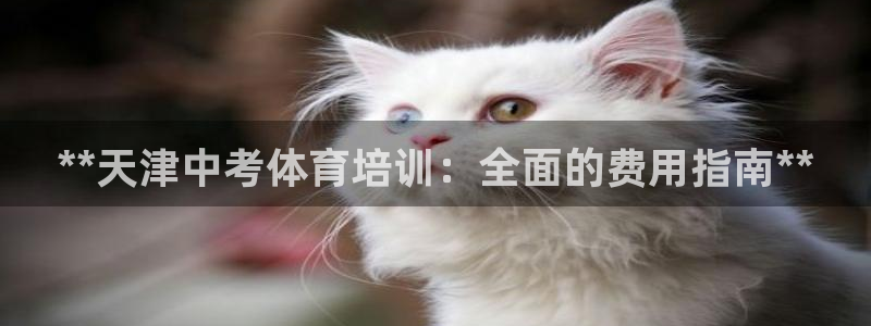极悦官网：**天津中考体育培训：全面的费用指南**