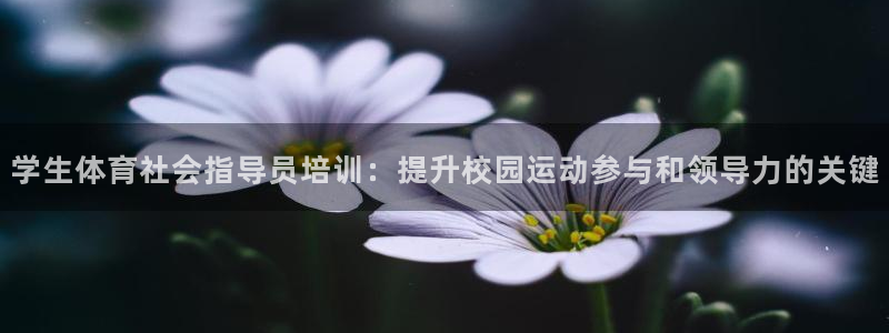极悦平台是什么：学生体育社会指导员培训：提升校园运动