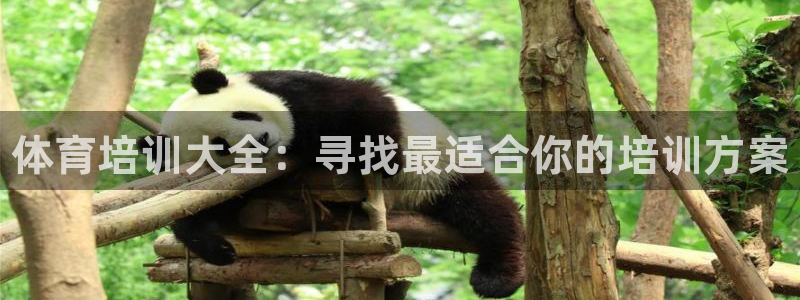 极悦娱乐代理多少钱一个
