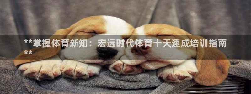 极悦平台官方网站登录网址：**掌握体育新知：宏远时代