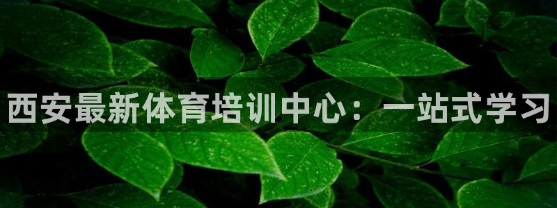 极悦平台与网易合作详情：西安最新体育培训中心：一站式