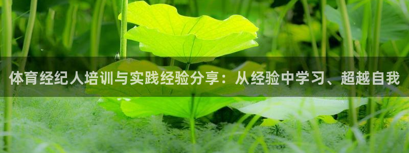 极悦娱乐负责人怎么样：体育经纪人培训与实践经验分享：从经验中