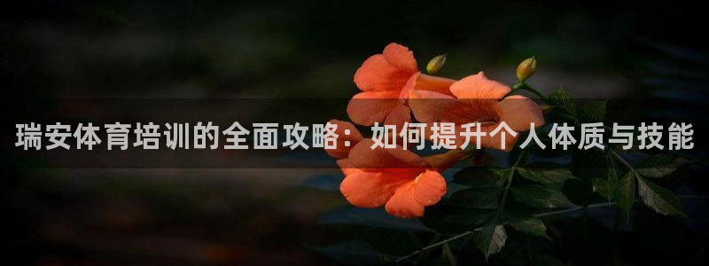 极悦平台股东：瑞安体育培训的全面攻略：如何提升个人体