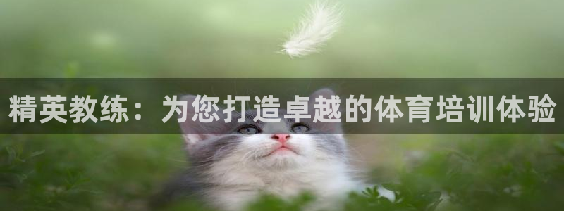 极悦平台注册官方网站下载手机版：精英教练：为您打造卓越的体育