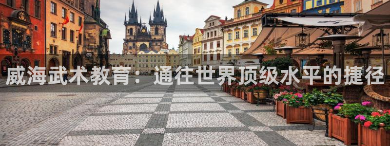 极悦官方网站入口网址大全：威海武术教育：通往世界顶级水平的捷